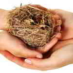 take care of nest egg for retirement