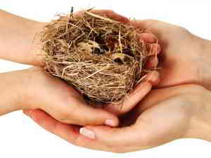 take care of nest egg for retirement