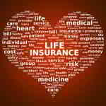 life insurance terminology
