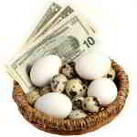 retirement nest egg