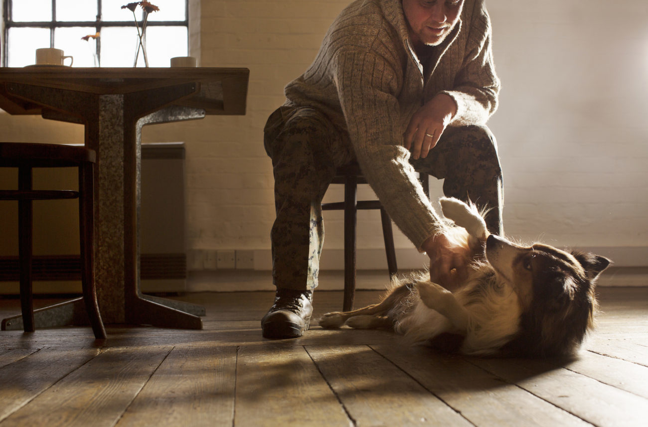 A man pets his dog on the tummy